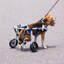 Fauteuil roulant pliable pour chien-115316608