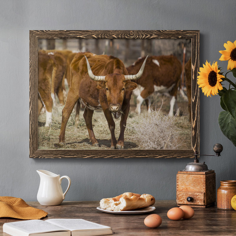Longhorns, reproduction d'art sur toile encadrée, Noyer, H 18 po x l 26 po x P 1,5 po
