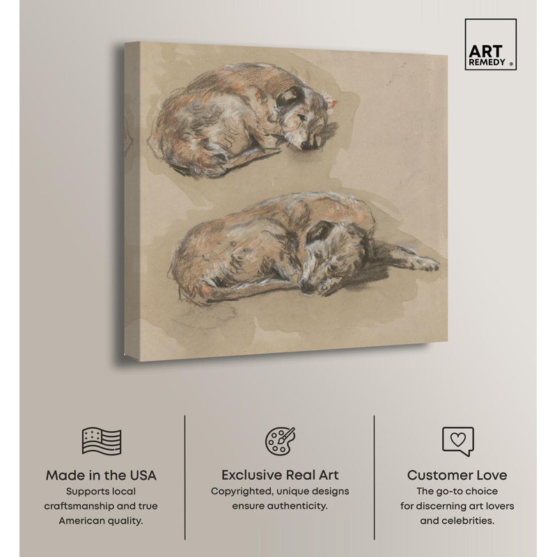 Vintage Dog Drawings on Wrapped Canvas, 12" x 12"