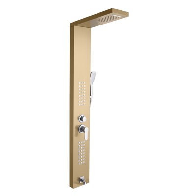Panneau de pomme de douche fixe 60 "