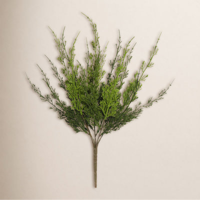 Cypress Floral Stems