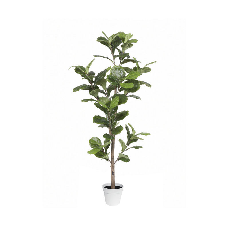 67" Green Silk Ficus Tree in White Plastic Pot