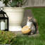 SQUIRREL ET ACORN BIRD FEEDER