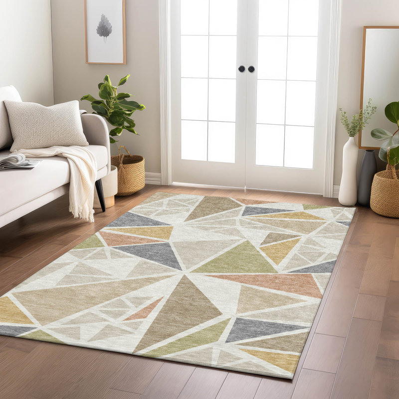 Machine Washable Indoor/Outdoor Chayden ACN1039 Rug, Rectangle 9' x 12'