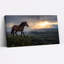 «Brown Horse on Grassy Hill with Mountain Sunset», art mural sur toile-1868308798