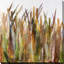 Quenouilles II - Peinture-1658811781-1658811826