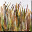 Quenouilles II - Peinture-1658811826-1658811803