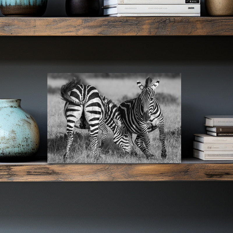 Playful Zebras Contemporary Zebra Wall Art Print 1 Piece Wrapped Canvas Wall Art, 30.48cm H x 45.72cm W