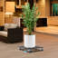 Support pour plante Quintavia-456435576-456435579