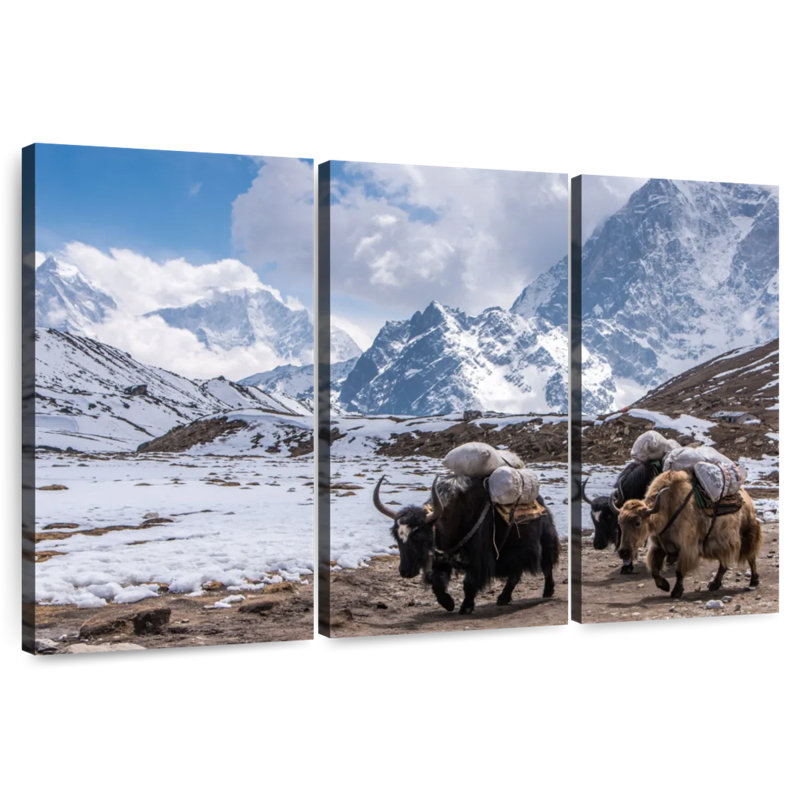 Yaks du Mont Everest à Alvord, H 32 po x l 50 po