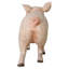 Porcelet cochon, sculpture de bébé cochon