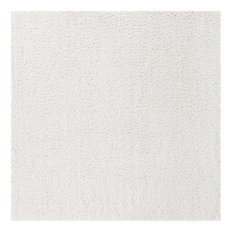 Sareniti Indoor Rug, Square 10'