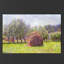 Claude Monet - Wrapped Canvas Painting-21211080