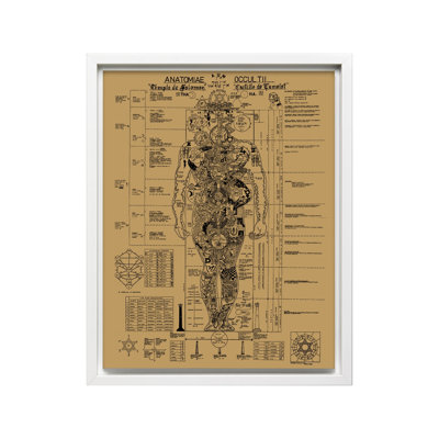 Occult Anatomy