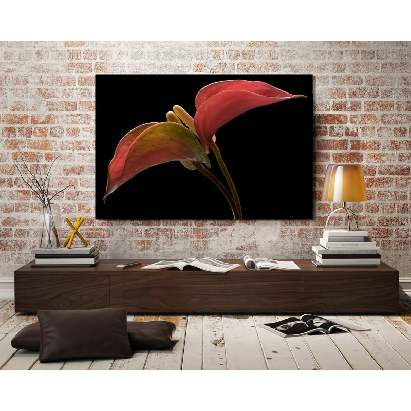 Anthurium 2 1 Piece Wrapped Canvas Wall Art, 30 cm H x 46 cm W x 4 cm D