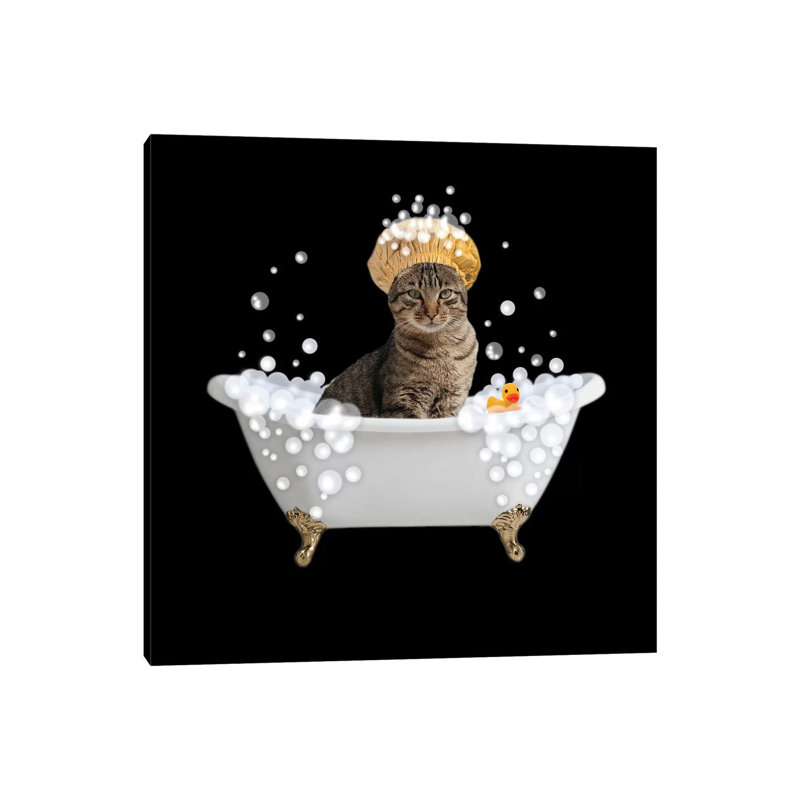 Fun Kitty Bath 4 by Marcus Prime - Wrapped Canvas Print, 93.98 cm H x 93.98 cm W x 3.175 cm D