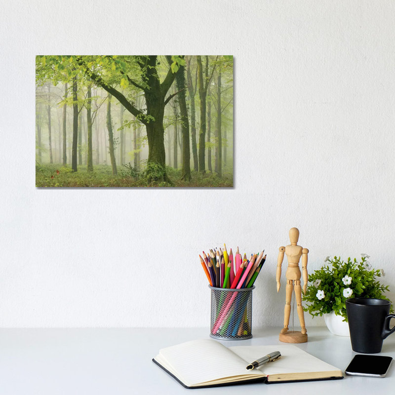 Spring Woodland II by Adam Burton - Wrapped Canvas Print, 20.32 cm H x 30.48 cm W