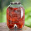 Ginnia 3,3 gallons Distributeur de boissons en verre recyclé Authentic-533768898