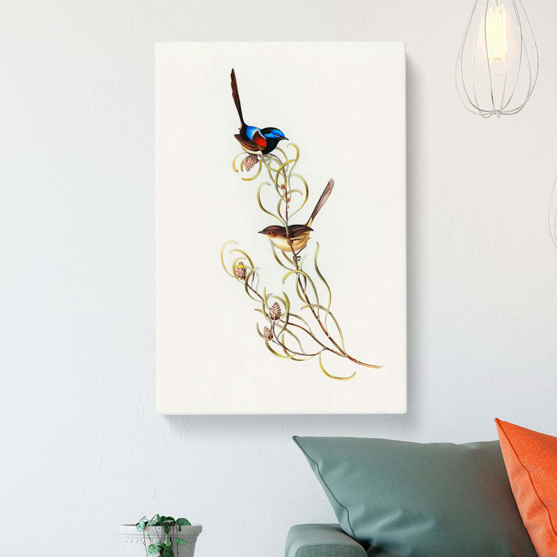Graceful Wrens by Elizabeth Gould - Wrapped Canvas, 50cm H x 35cm W x 3cm D