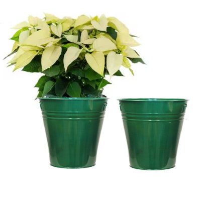 Pot à fleurs en acier émaillé pour plantes de 6,5 po. Ensemble de deux
