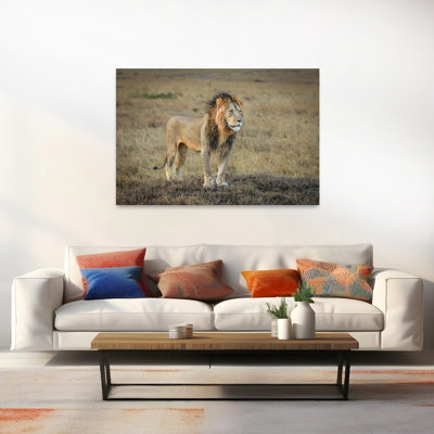King Of The Savanna Contemporary Cat Lion Nature Wildlife Wall Art Print by Jeffrey C. Sink - 1 Piece Wrapped Canvas Wall Art