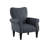 Euart 76.2Cm Wide Tufted Polyester Armchair-1055191422