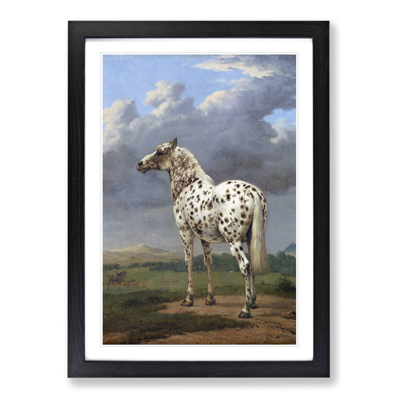 The Piebald Horse by Paulus Potter - Picture Frame Painting, Black Framed, 65cm H x 48cm W x 2cm D