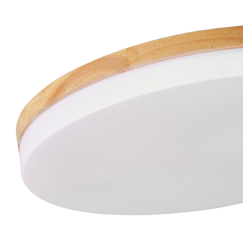 Trotman Acrylic LED Flush Mount