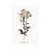 Sketchbook Leadwort by Kelly Donovan - Wrapped Canvas Gallery-Wrapped Canvas Giclée
