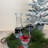 Winter Wonderland Snowflake Carafe