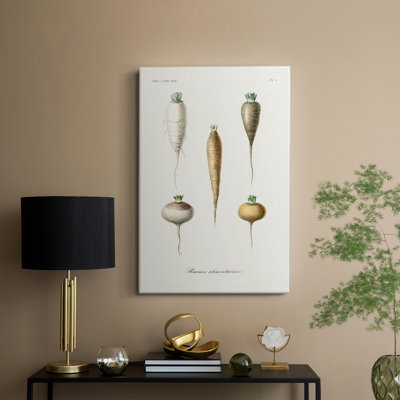 Variétés de fruits et légumes - Cavas enveloppés de galerie