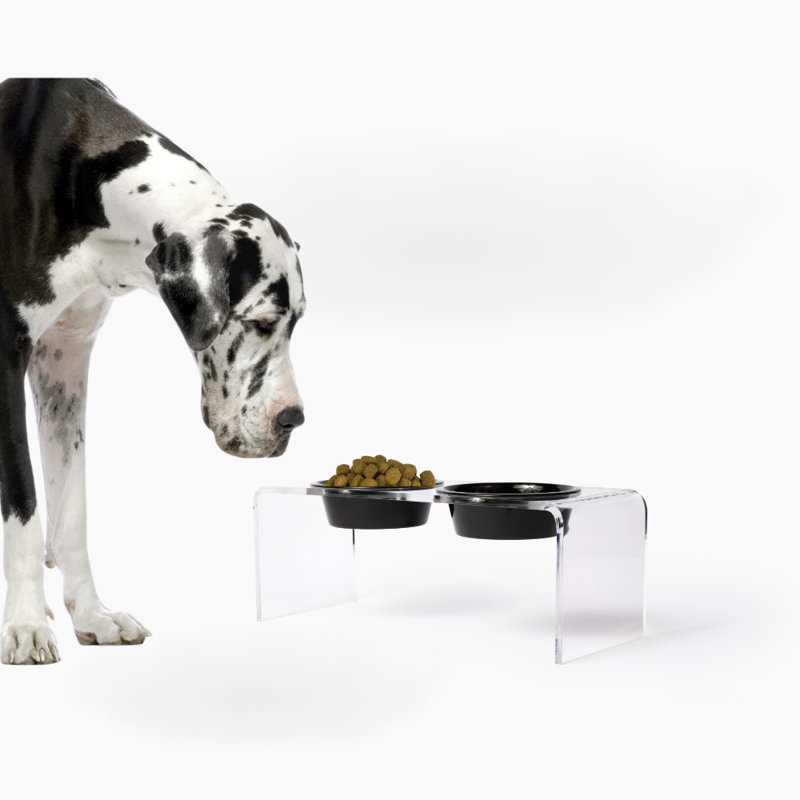 Medium Clear Double Pet Feeder with Color Bowls, Black