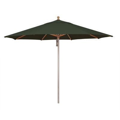 Darlington 11' Umbrella