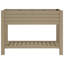 Raised Garden Bed-89186627