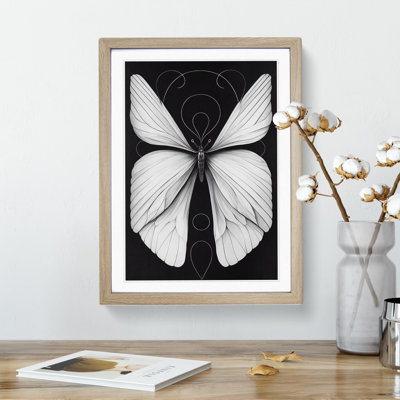 Tranquil Butterfly - Framed Print