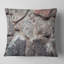 Coussin Schafer-229048716-229091841