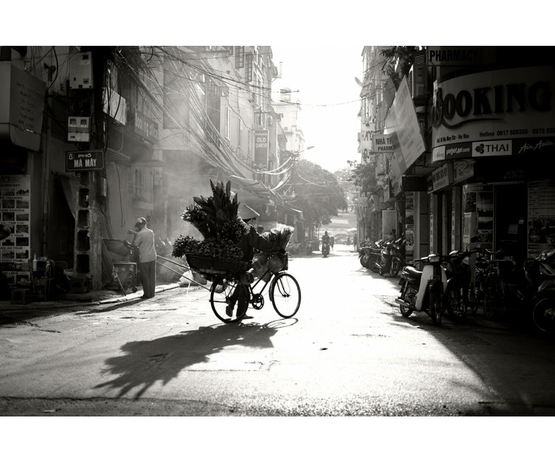 Wrapped Canvas Print, 121.92 cm H x 81.28 cm W