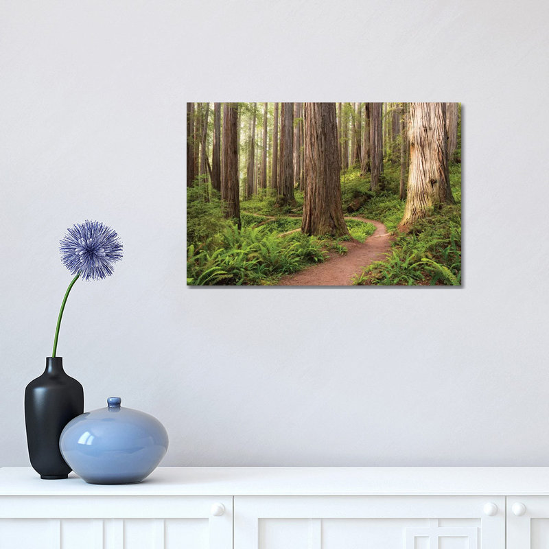 «Redwood Trail» par Stefan Hefele - reproduction de photo sur toile, Pas de tapis, Toile tendue, H 12 po x l 18 po x 1,5 po