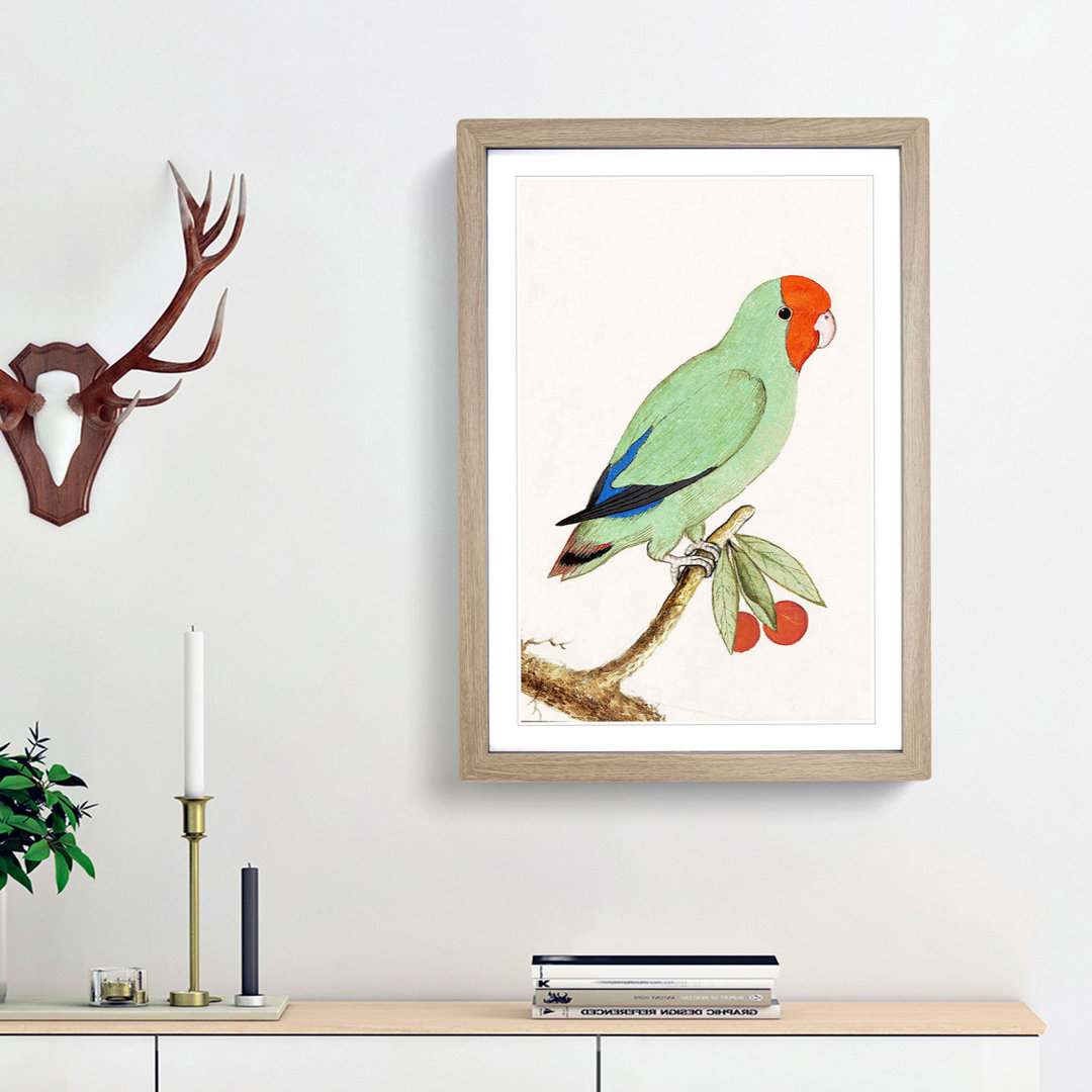Lovebird by A.B. de Boodt - Framed Print