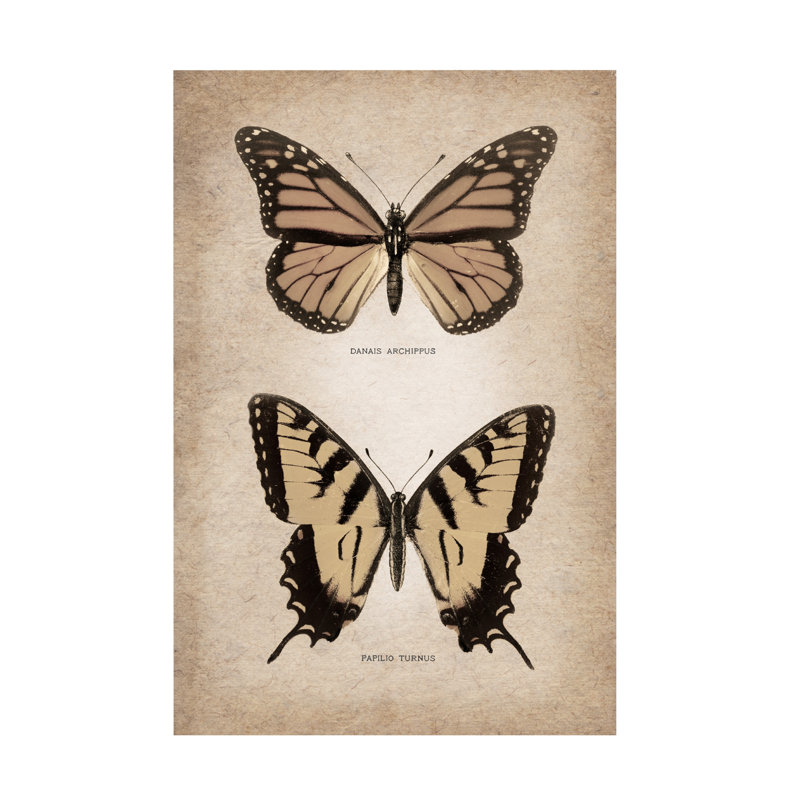 «Art Licensing Studio Vintage Butterflies Duo», art sur toile, H 22 po x l 32 po