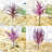 15-piece Style 7 Purple Artificial Succulent Plants