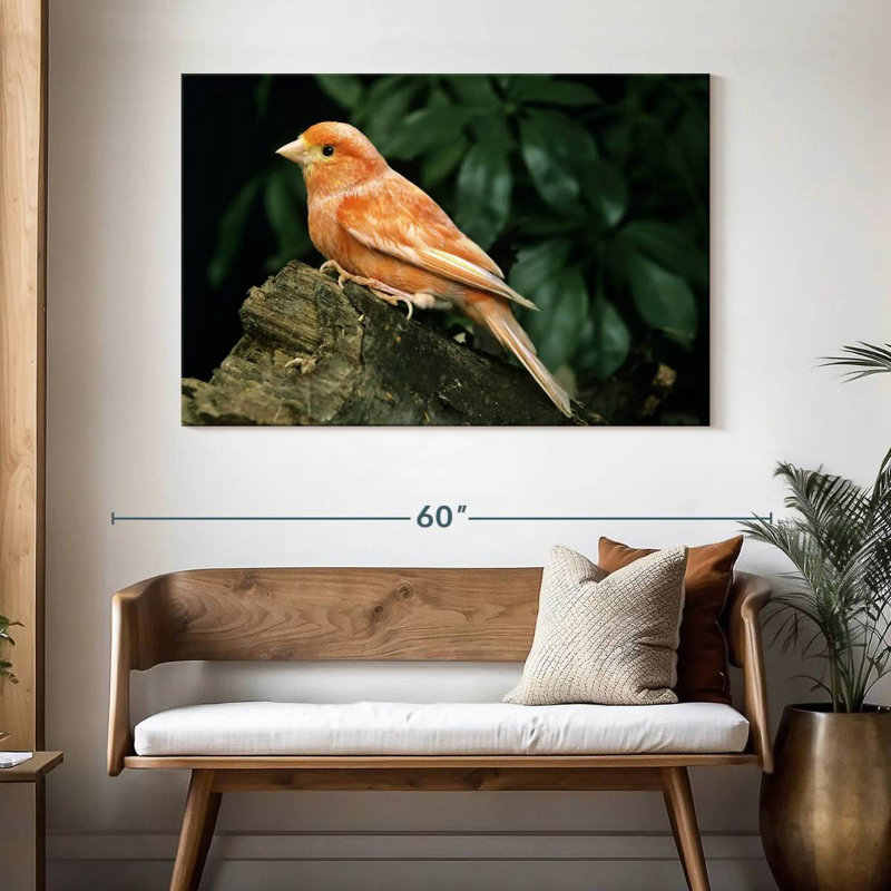 Crowle Canary Bird