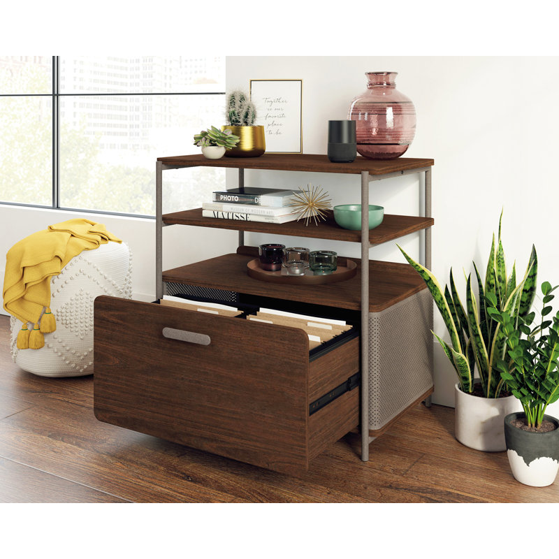 Ohlson Lateral File
