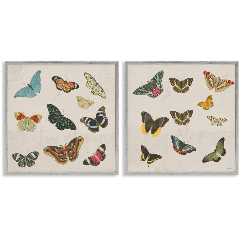 Collection de papillons rétro, ensemble de 2 giclées encadrées, design par Dan Meneely, H 12 po x l 12 po