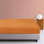 Drap-housse seulement, drap-housse à poche profonde en microfibre brossée 1800 - NTBAY-93055527-88642490