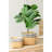 Set Of 2 Rectangular Basket Planters With Geometric Trim, L:10.5X8.5X8" S:7.5
