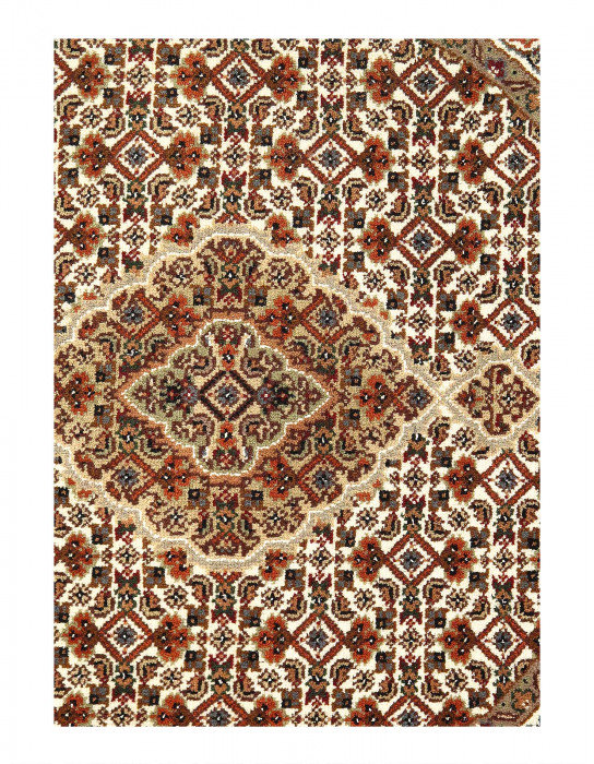 Jetze Handmade Silk and Wool Area Rug