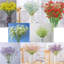 Arrangement floral Baby's Breath-1070477539-1070477547
