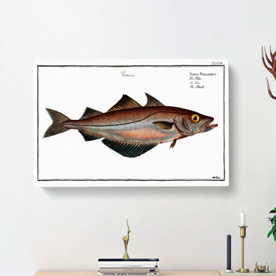 Pollock Fish by M.E. Bloch - Wrapped Canvas Print