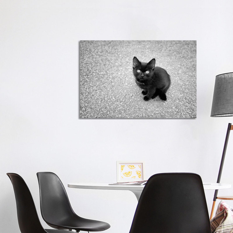 Just A Baby by Ben Heine - Print on Canvas, 101.6 cm H x 66.04 cm W x 1.91 cm D, Wrapped Canvas